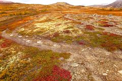 Dovrefjell 2