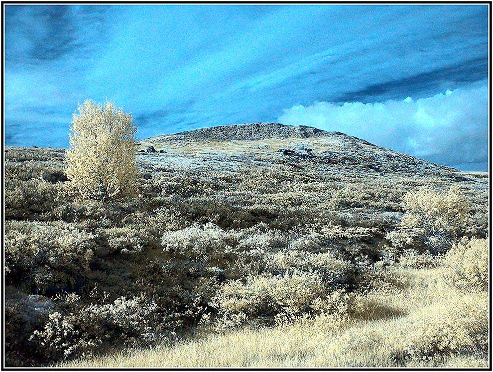 Dovrefjell