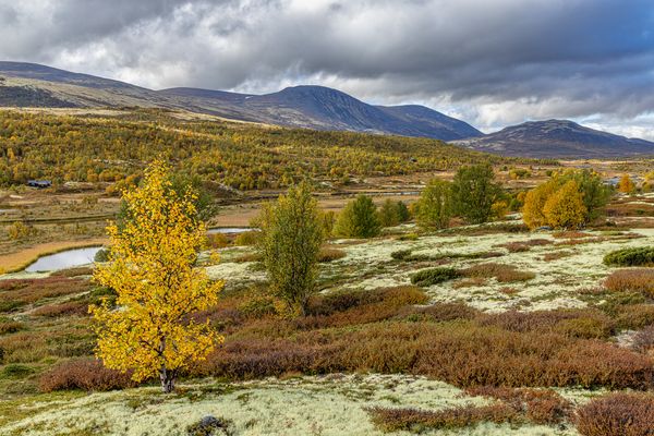 Dovrefjell