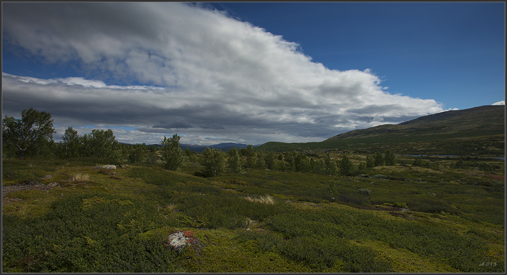 Dovrefjell