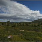 Dovrefjell