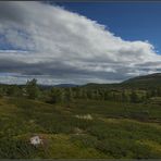 Dovrefjell