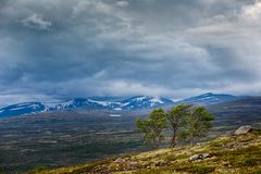 Dovrefjell