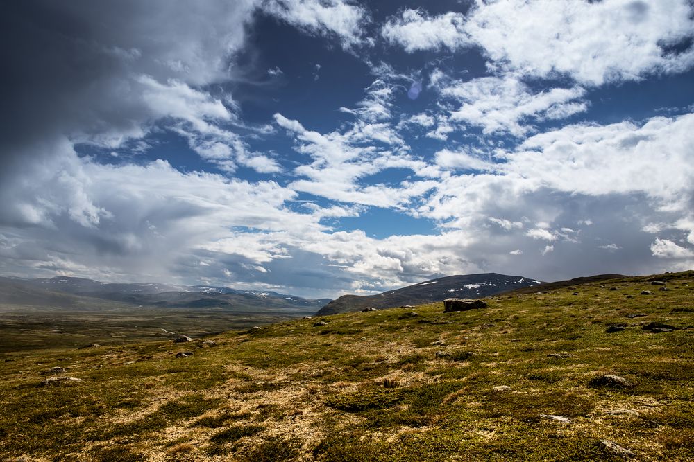 Dovrefjell