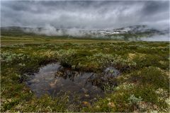 Dovrefjell