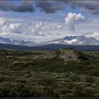 Dovrefjell