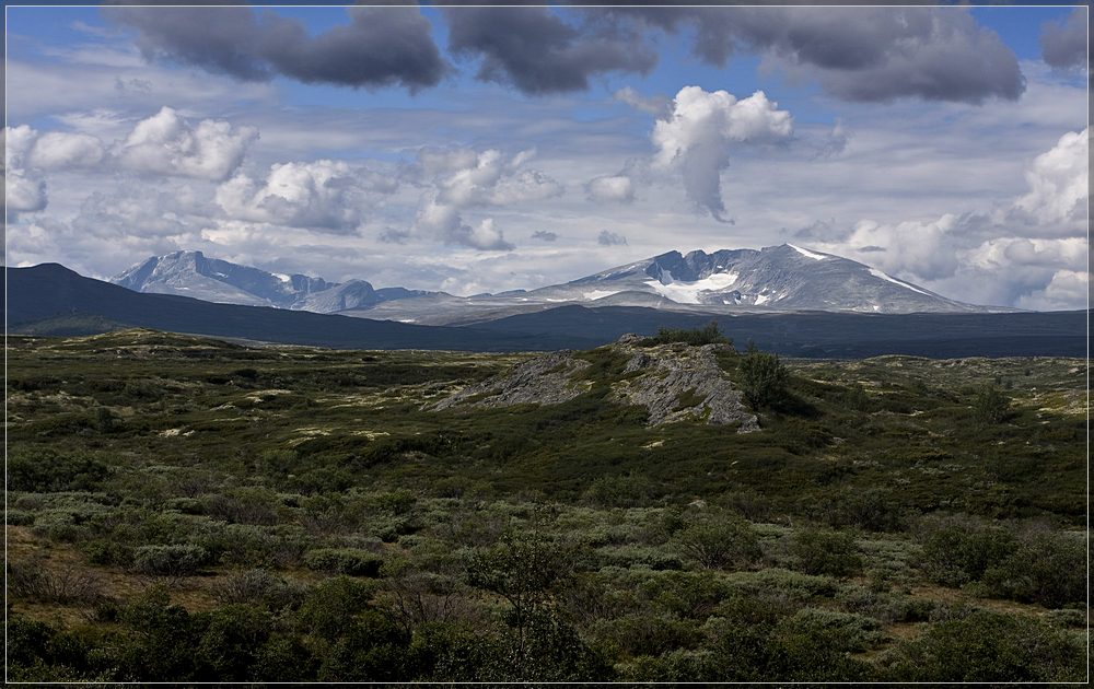 Dovrefjell