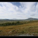 Dovrefjell