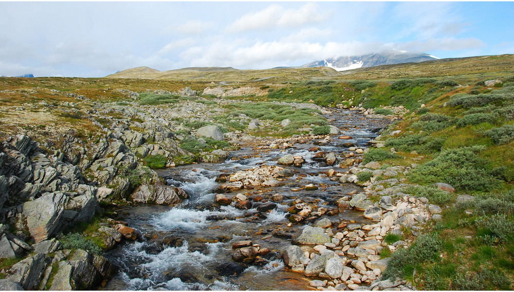 Dovrefjell Nasjonalpark