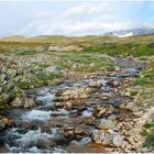 Dovrefjell Nasjonalpark