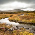 Dovrefjell Nature