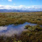 Dovrefjell NP