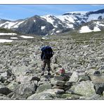 Dovrefjell und Sunndalsfjell Nationalpark