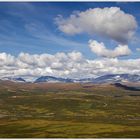 Dovrefjell - Weites Land