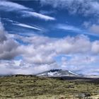 DOVREFJELL - ZWISCHEN HIMMEL UND ERDE