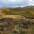 Dovrefjll Herbststimmung