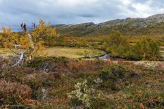 Dovrefjll Herbststimmung