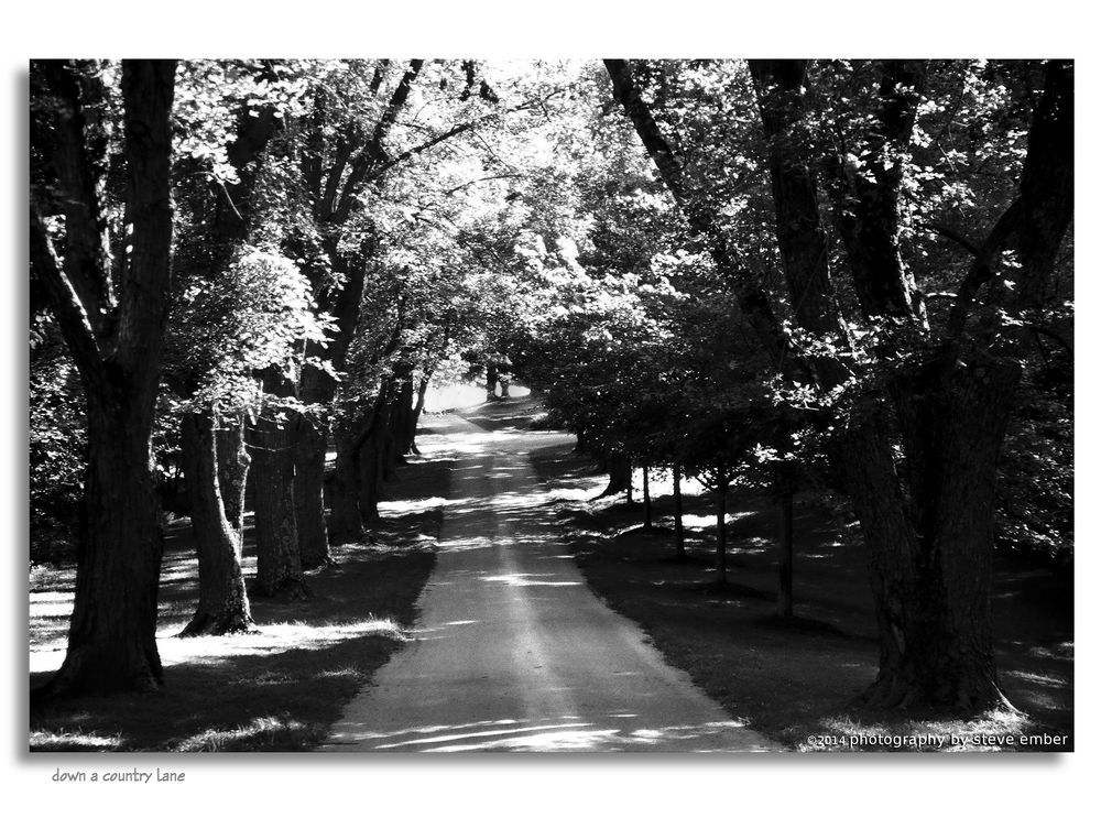 Down a Country Lane...