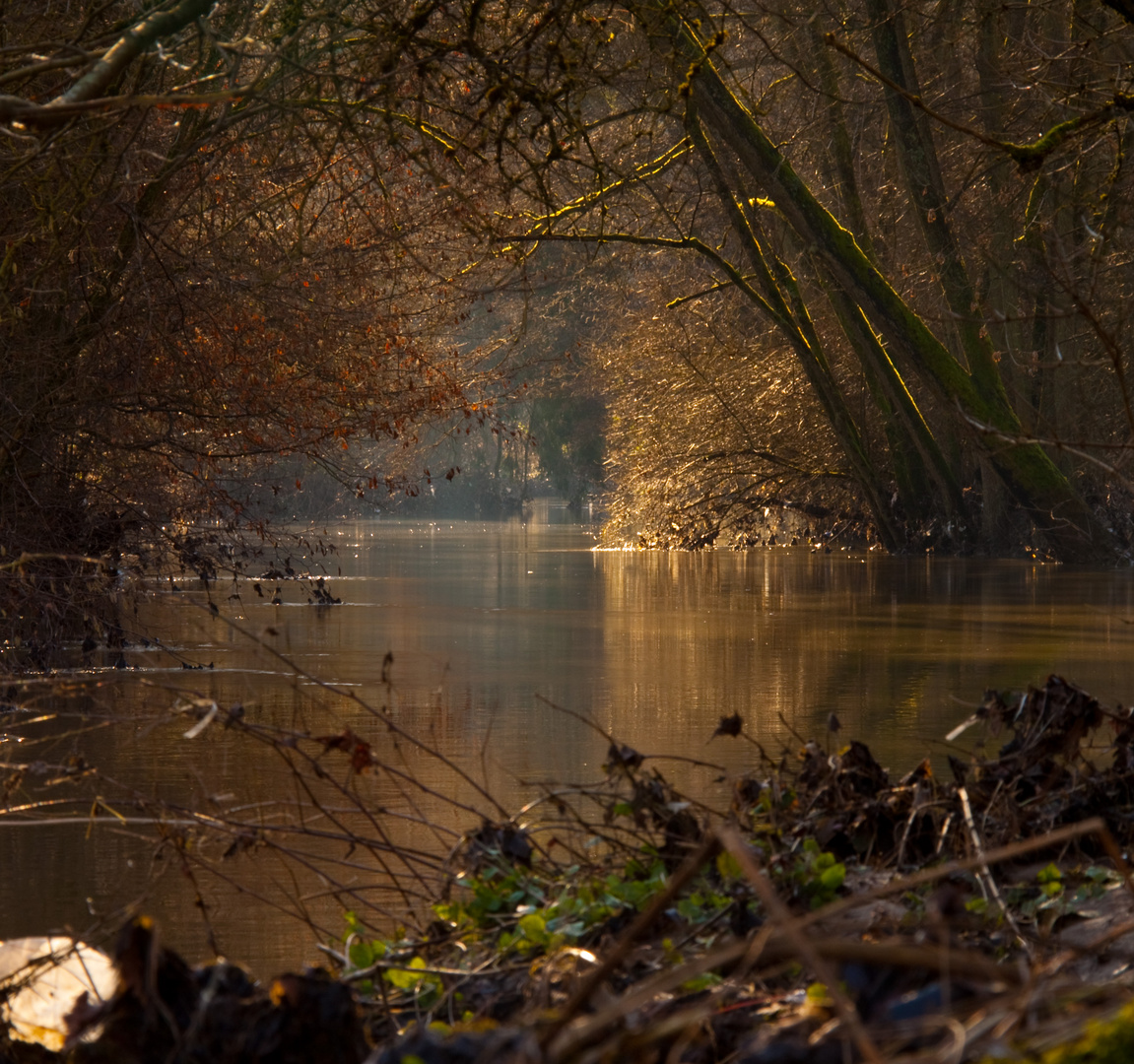 Down at the river