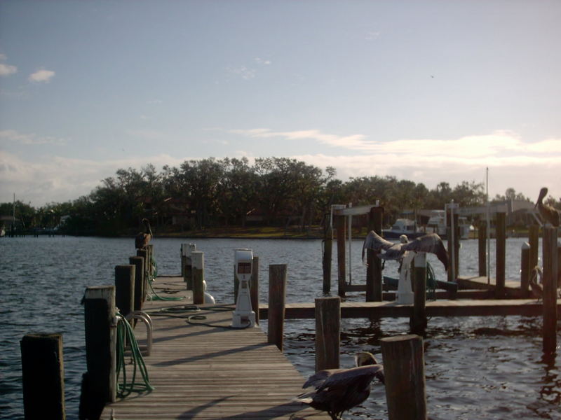 Down By The Dock