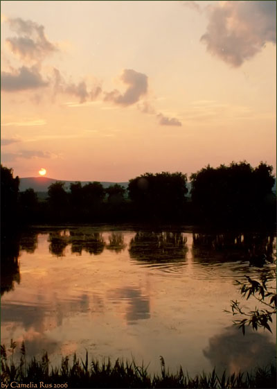 down by the lake