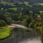 Down by the river