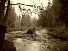 down by the river