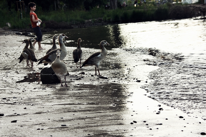 Down by the river by the boats