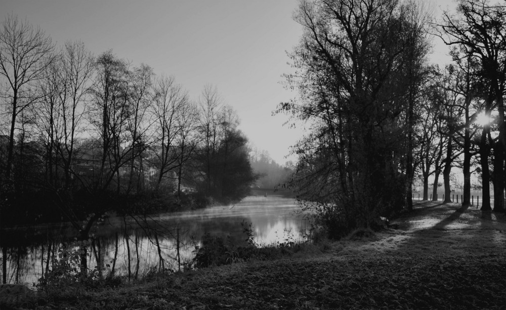 Down by the river, where the sun is creating foggy details on.......