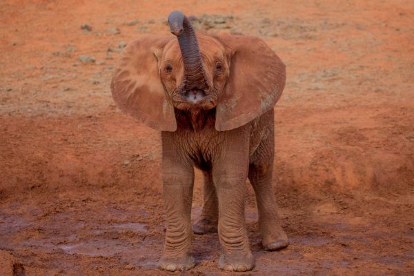 * down by the water III *