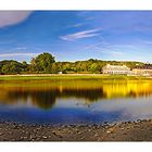 Down by the water - Pillnitz