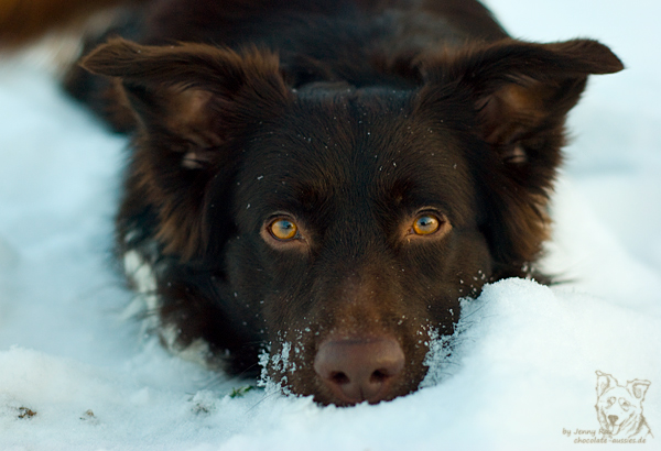 down im schnee