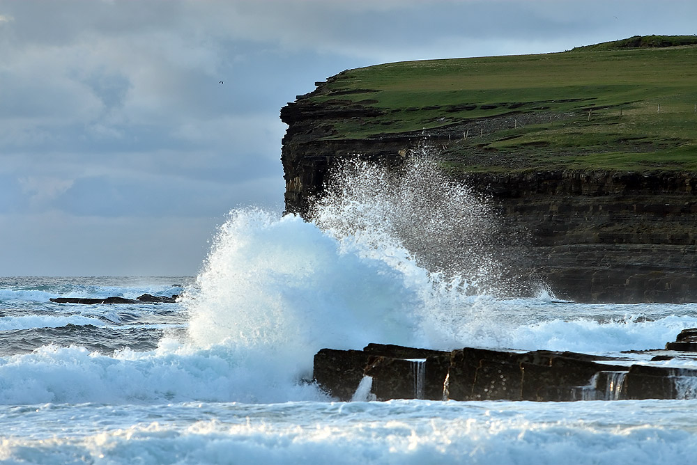 Down Patrick Head Küste