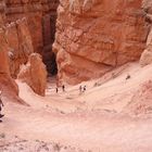 Down the Navajo Trail