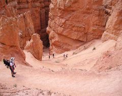 Down the Navajo Trail