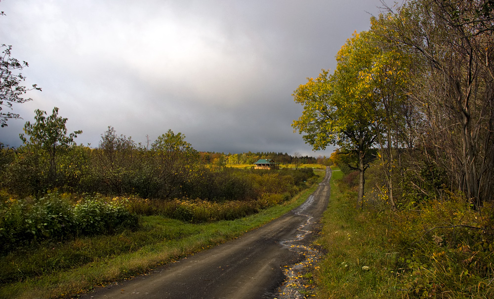 Down the path