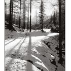 Down the trail, Zermatt