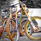 dOWNhill bikES