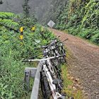 Downhill Death Road La Paz