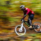 Downhill im Herbst