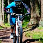 Downhill in Braunlage