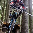 Downhill Rittershausen 2