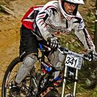 Downhill Rittershausen 8