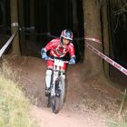 Downhill Tabarz