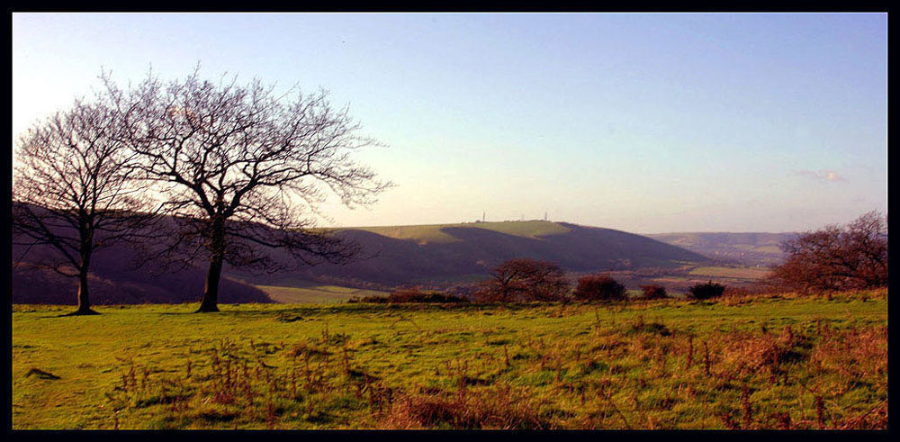 Downland scene