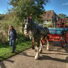 Downlands West Sussex