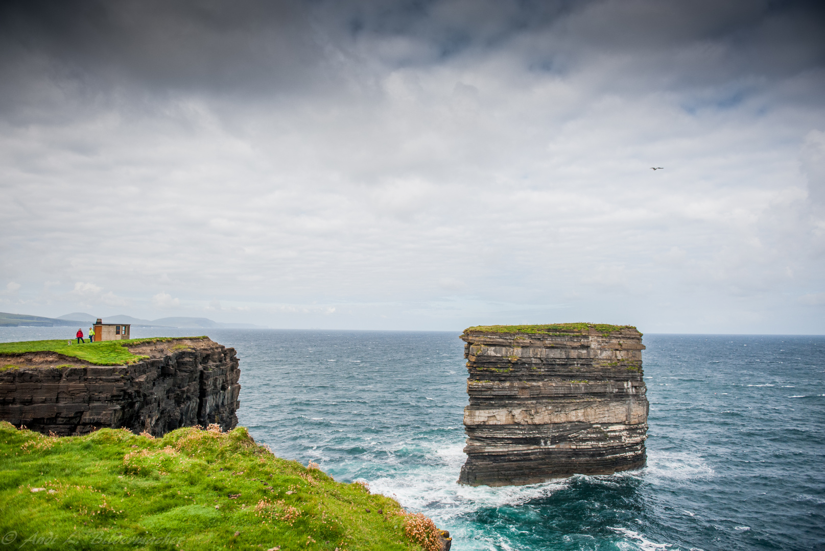 downpatrick head