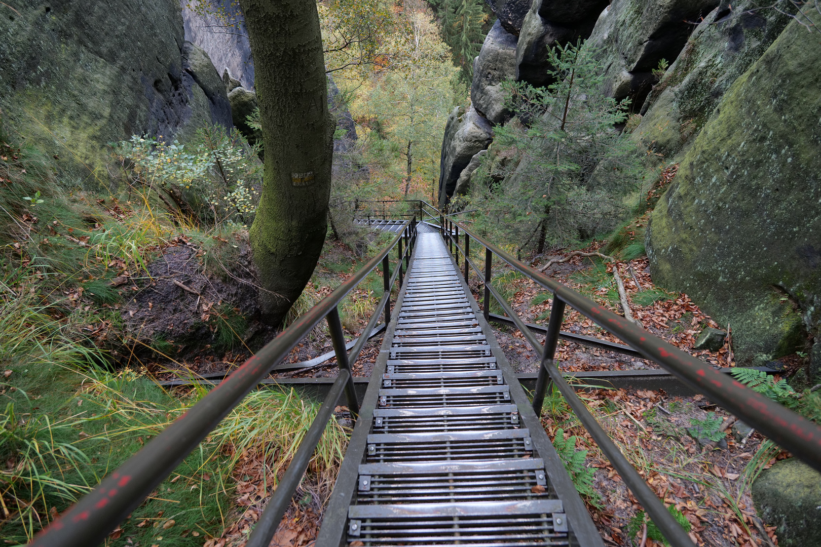 Downstairs in der Sächsischen Schweiz