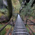 Downstairs in der Sächsischen Schweiz