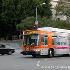 Downtown LA Bus